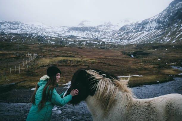 Icelandic Horseback Riding Including Pick Up from Reykjavik