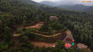 7j17nlh6icltpgv451qzneupx5k3 wild%20view 3