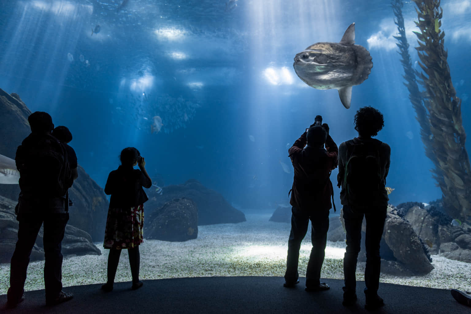 Oceanário de Lisbon