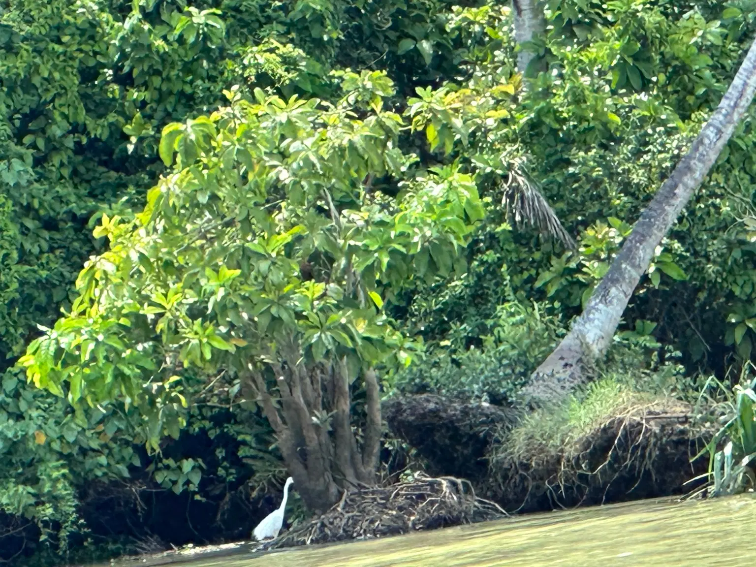 Photo from RANJIT  KUMAR's trip
