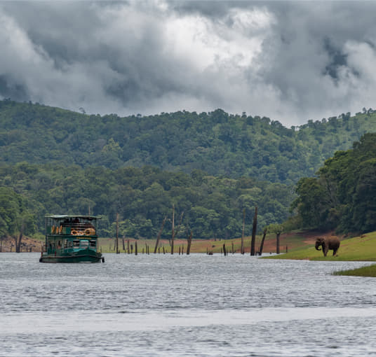 Periyar National Park