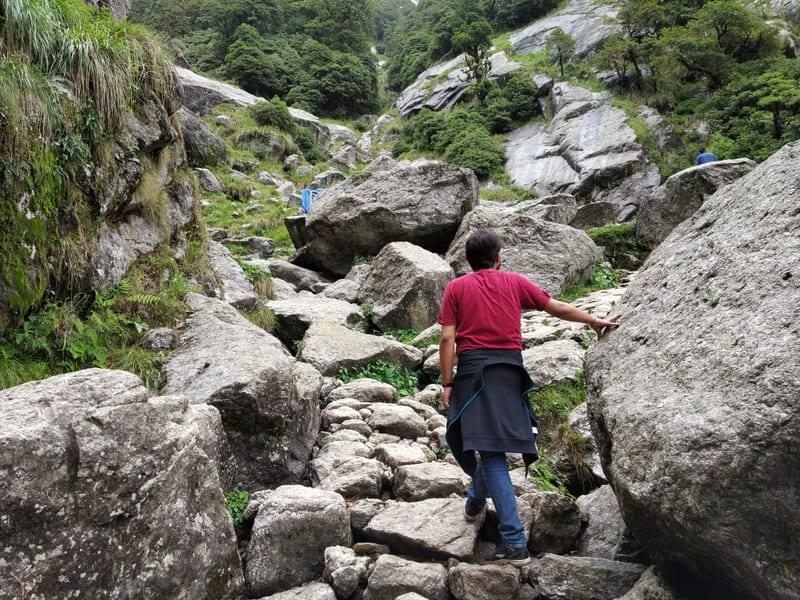 Thatharana Trek With Camping In Mcleodganj Image