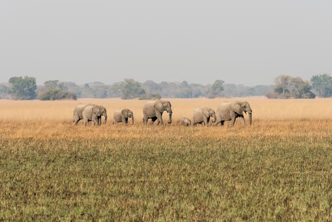 Kafue National Park