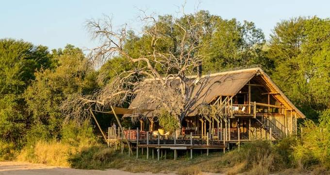 kruger park safari