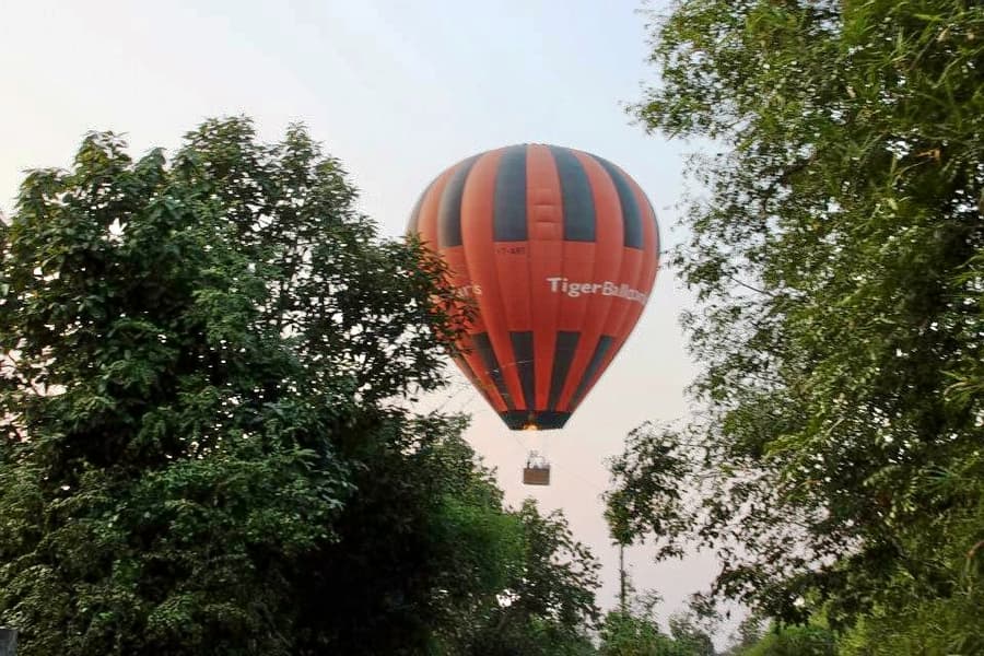 Pench National Park Jungle Safari Image