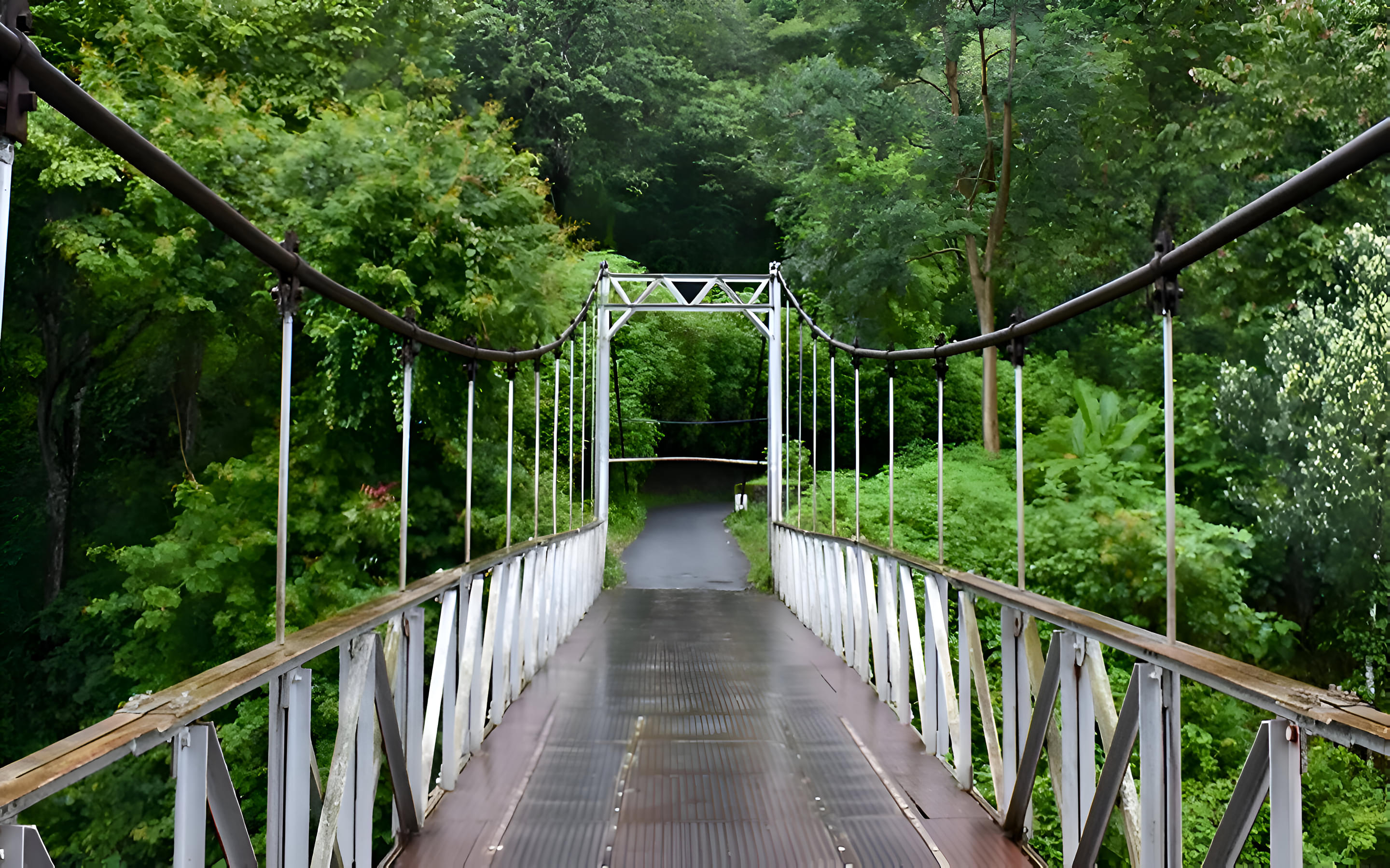 Hanging Bridge Ponmudi Overview