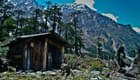 Soak-in the beauty of Lachung