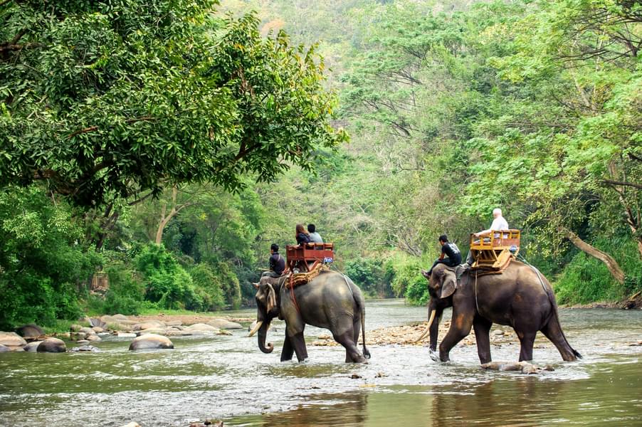 Phuket Safari Tour With Roundtrip Transfers (Eco Safari)