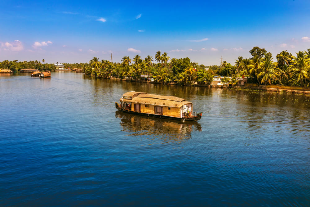 Marvel at the traditional houseboats amidst the lush surroundings in Alleppey