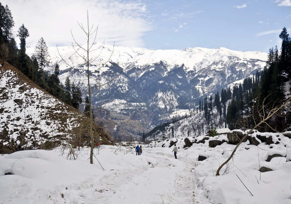 Himachal Pradesh Tour for 6 days