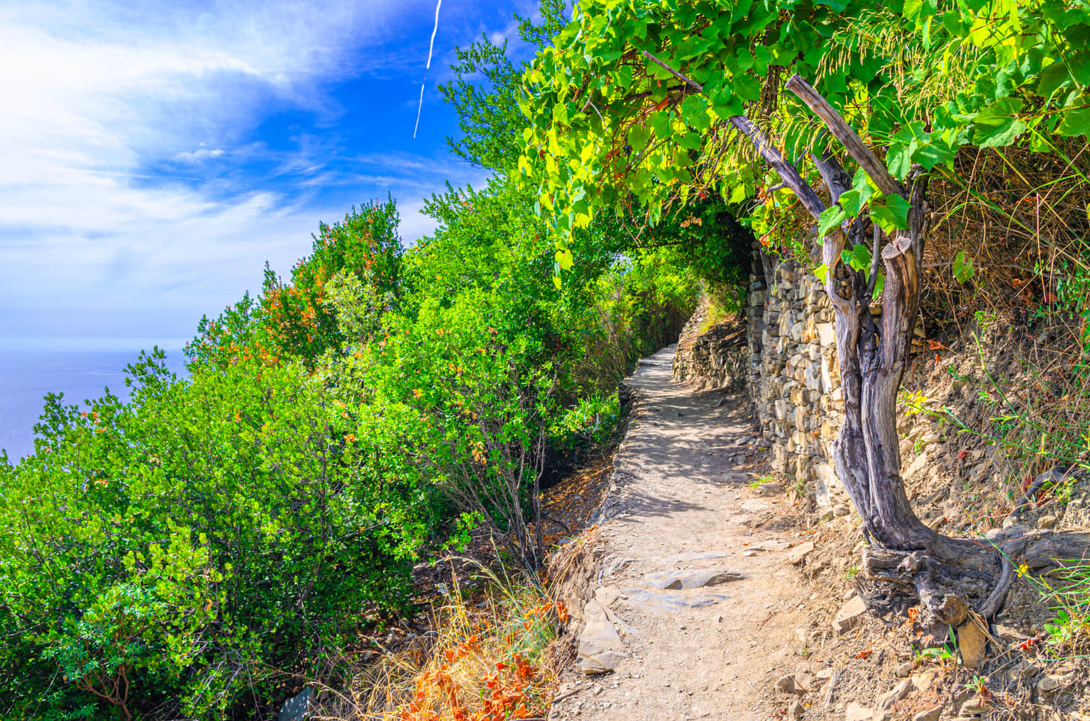 Go on An Adventurous Stride on The Sentiero Vernazza a Corniglia