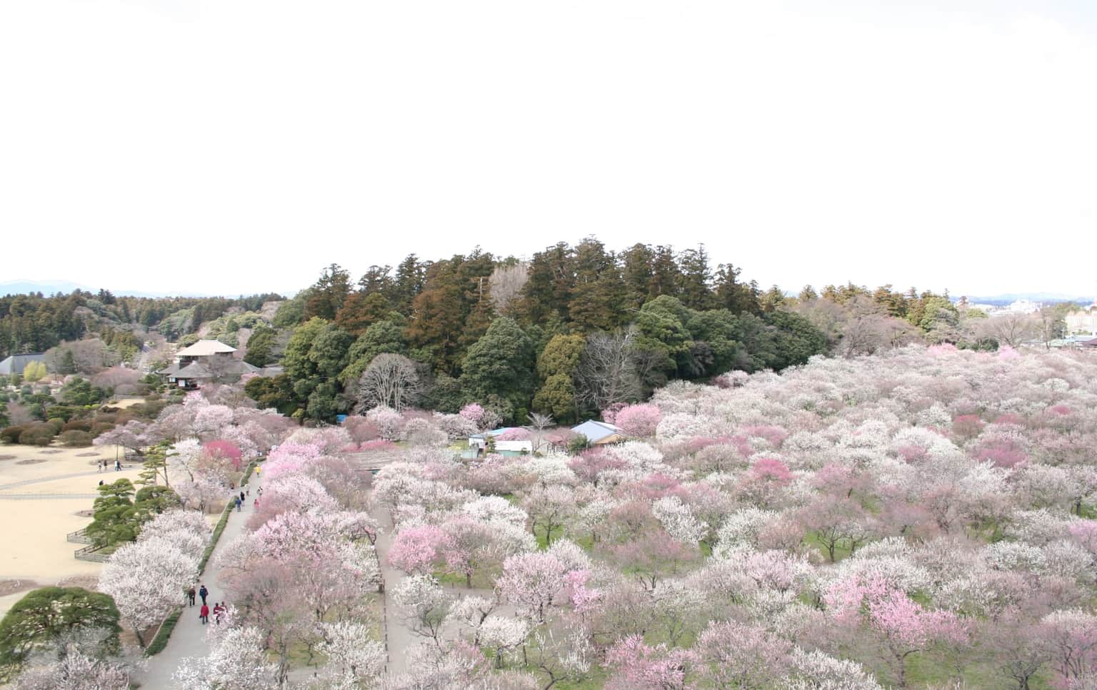 Keitakuen Garden
