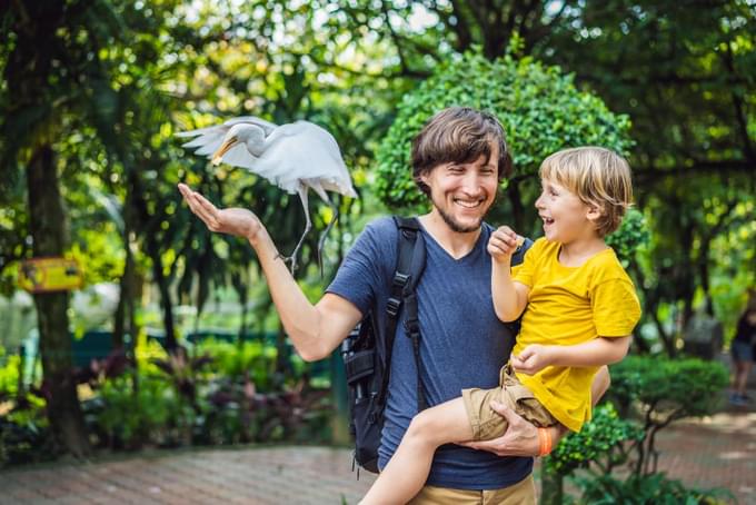 Father and son at Zoo