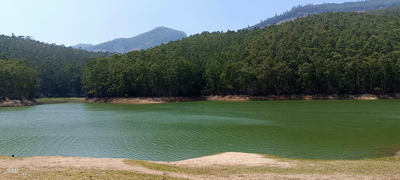 Photo from Ashish Desai's trip