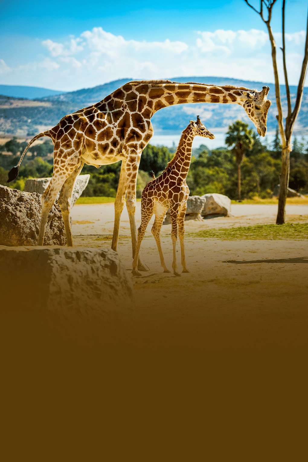 Wonders of Kenya | Lake Naivasha & Wild Plains Expedition