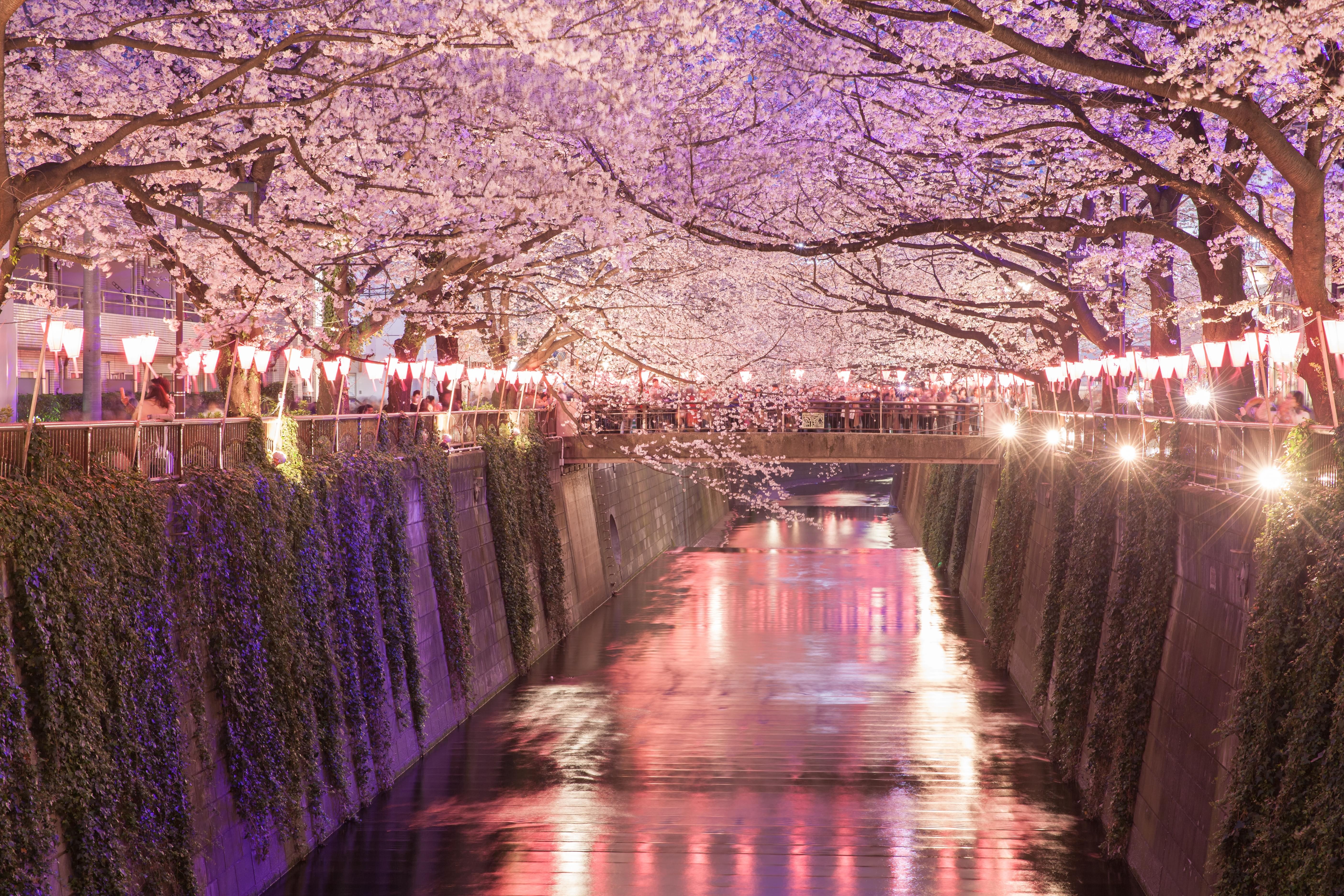 Japan Packages from Nashik | Get Upto 50% Off
