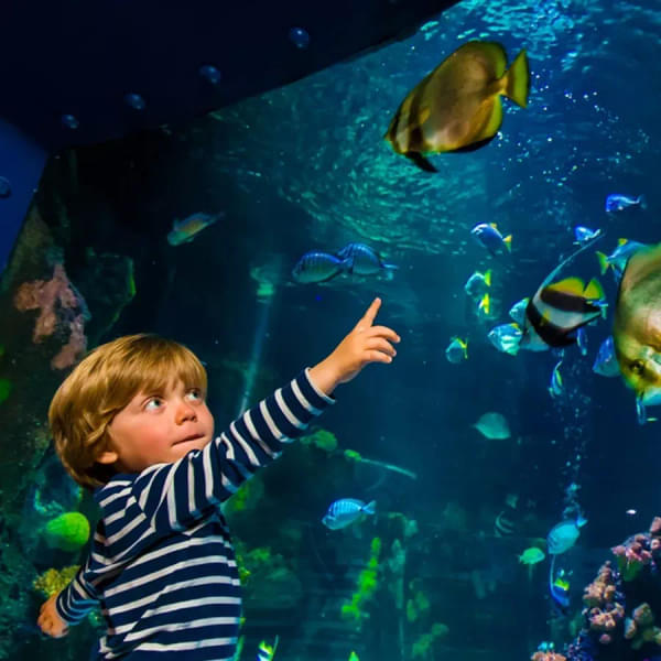 Know Before You Book Sea Life Speyer