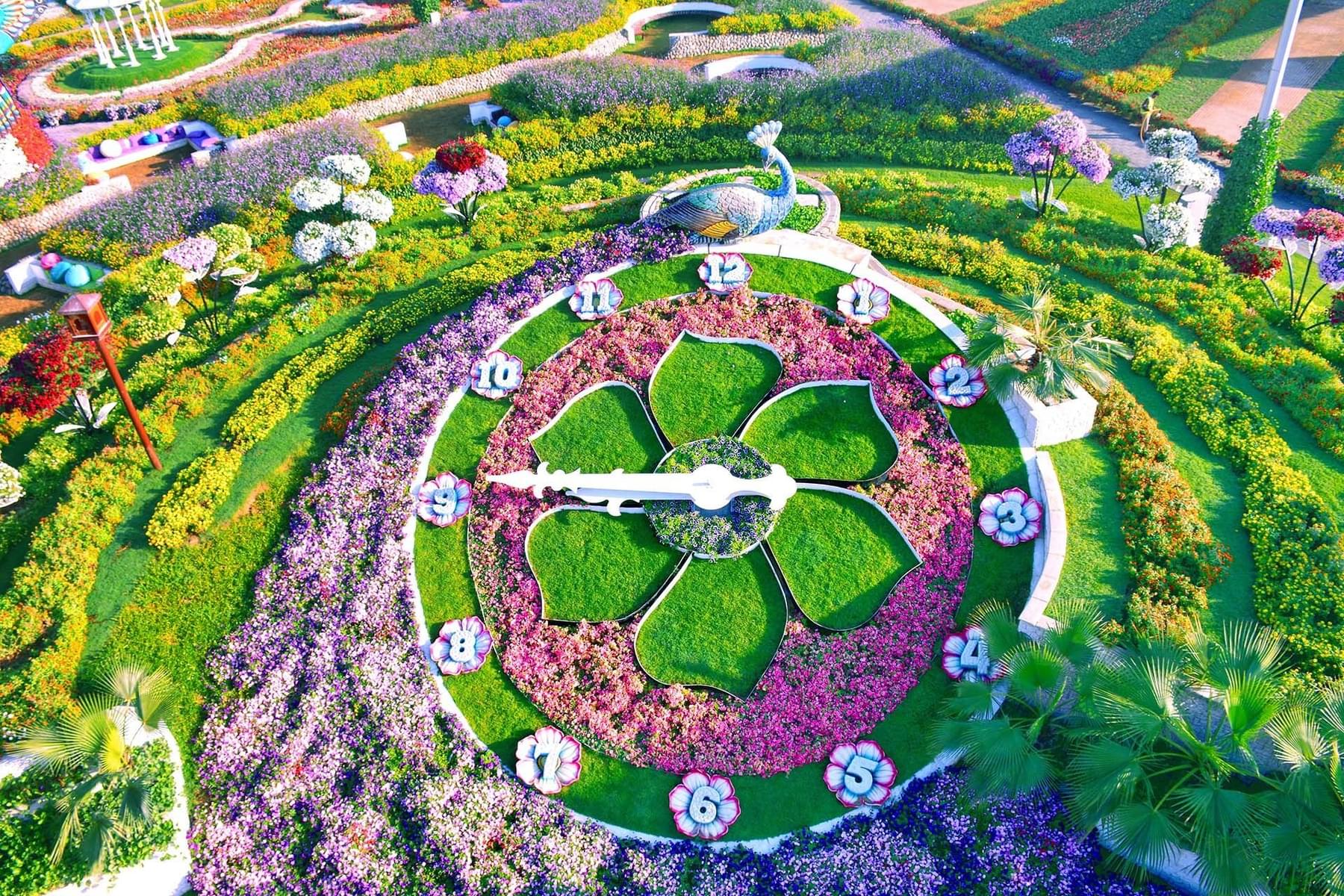 Connect With Nature At Dubai Miracle Garden