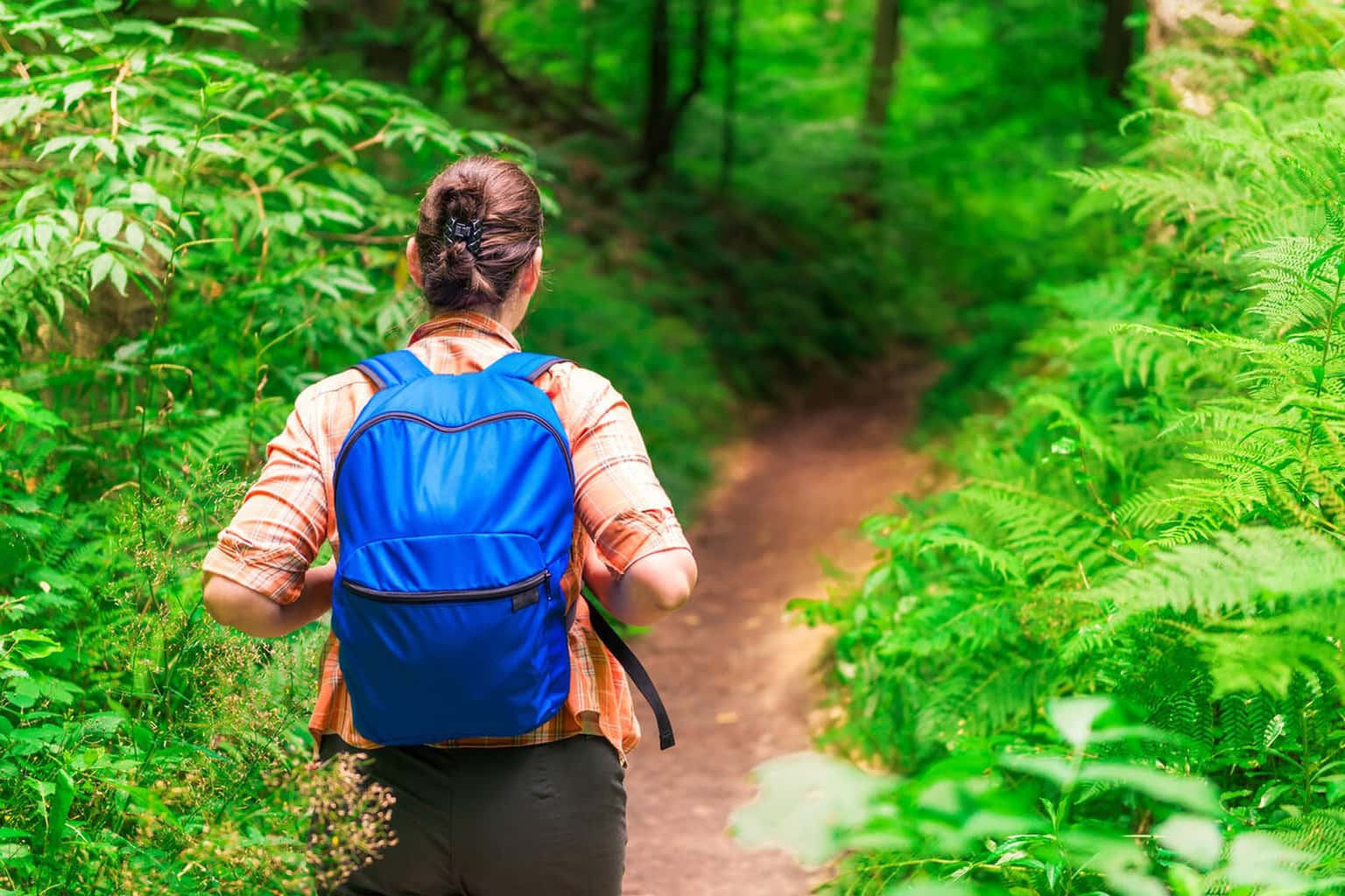 Mount Harriet Trek in Hope Town, Port Blair