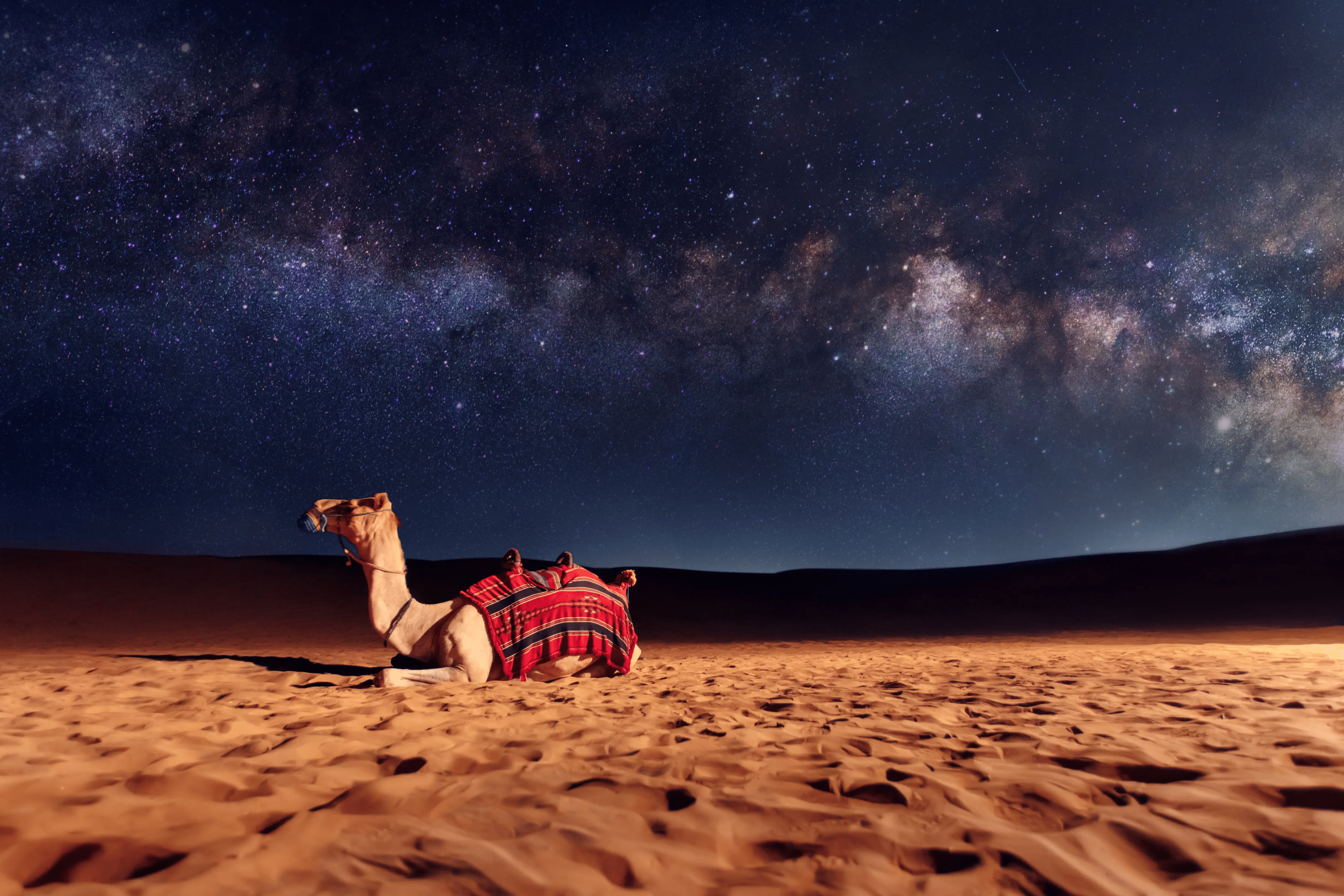 Stargazing and Camping On Private Dunes, Jaisalmer