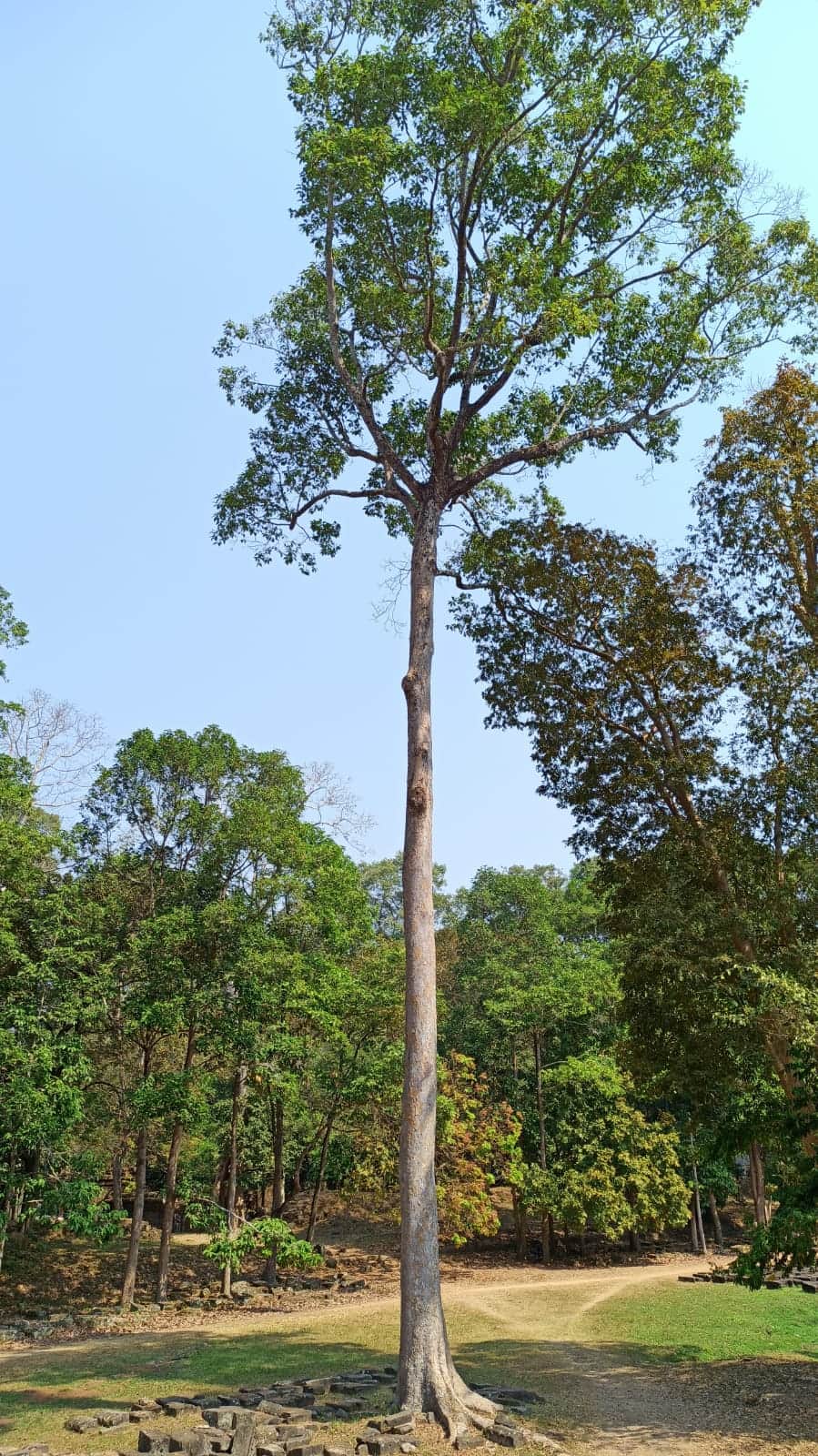 Photo from Kuntal Shah's trip