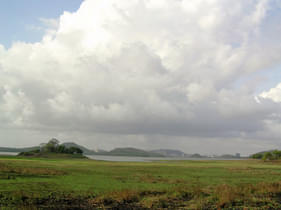 7p24xb3a8qo7f7b22hrtz6xhye00 1573478669 580286687 4f46e78516 z