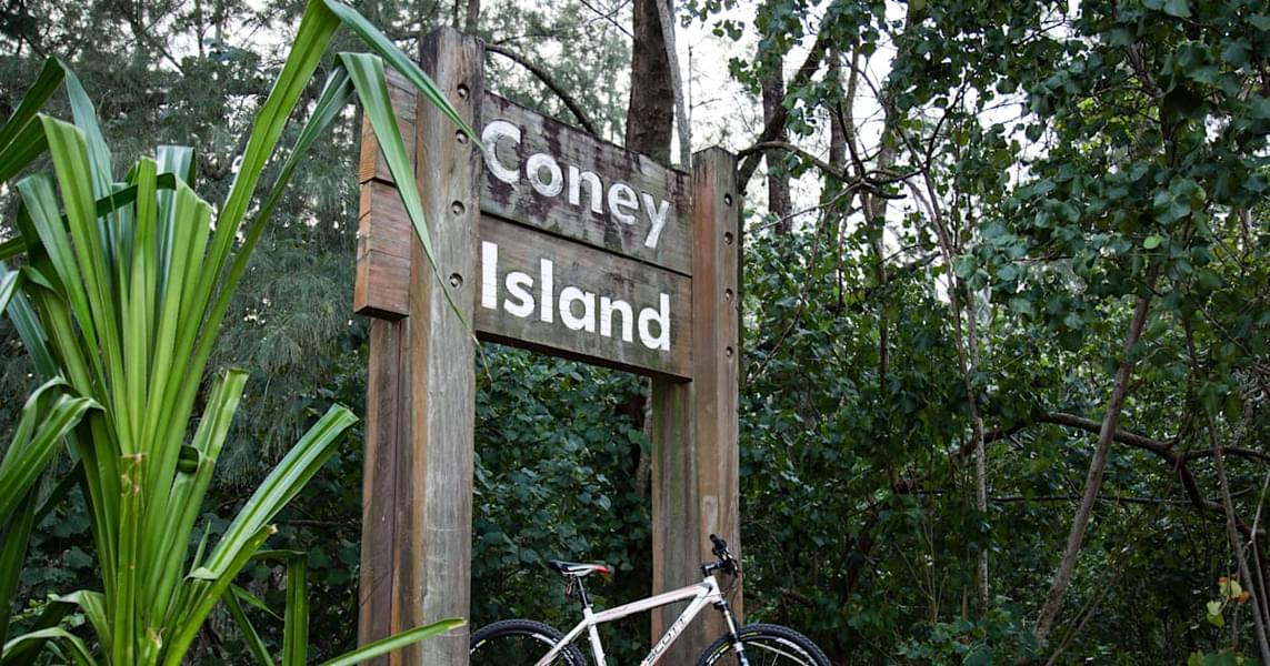 Coney Island Bike Rental Image