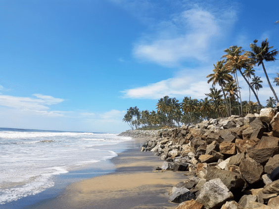 Visit the beach
