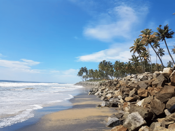 Visit the beach