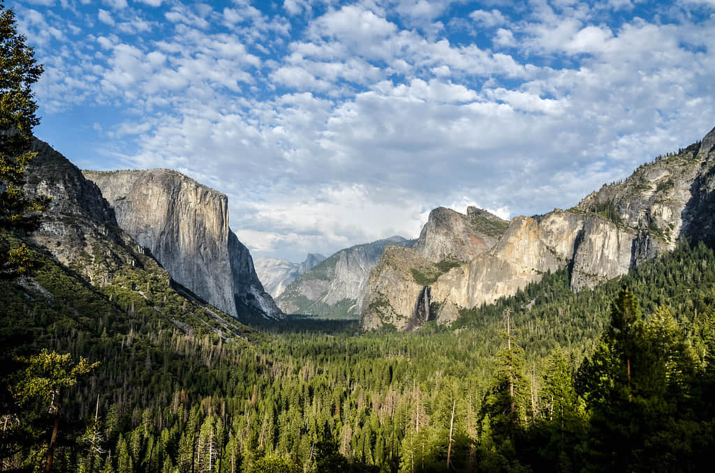 Tunnel Viewpoint USA