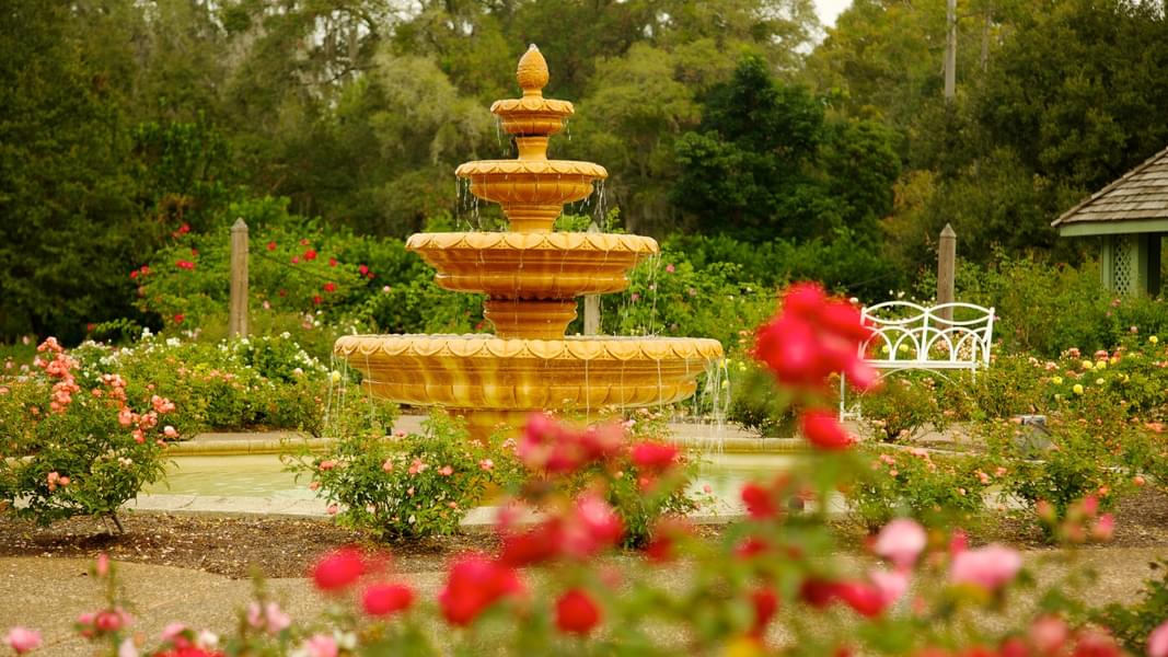 Sit near the garden's fountain and relax