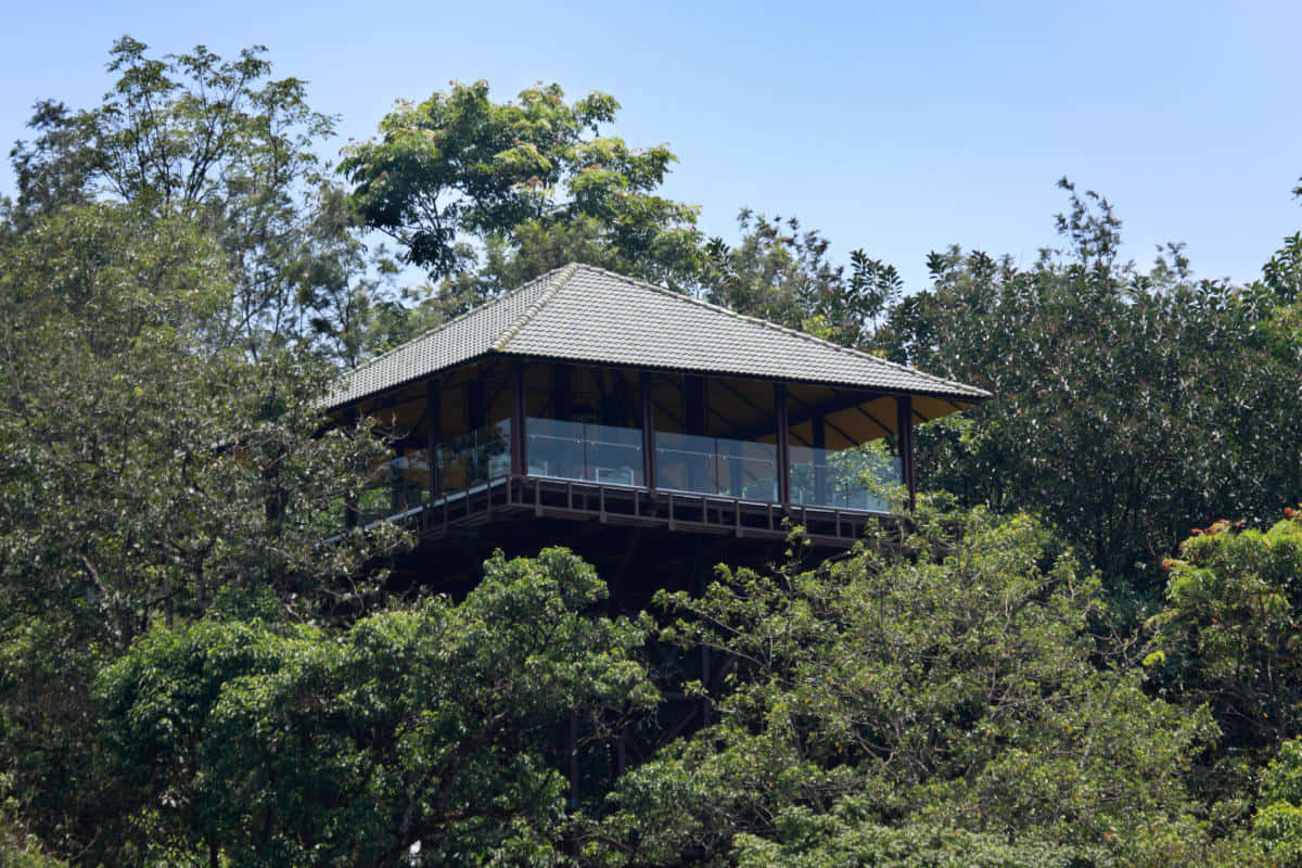 The Ibnii, Coorg | Luxury Staycation Deal