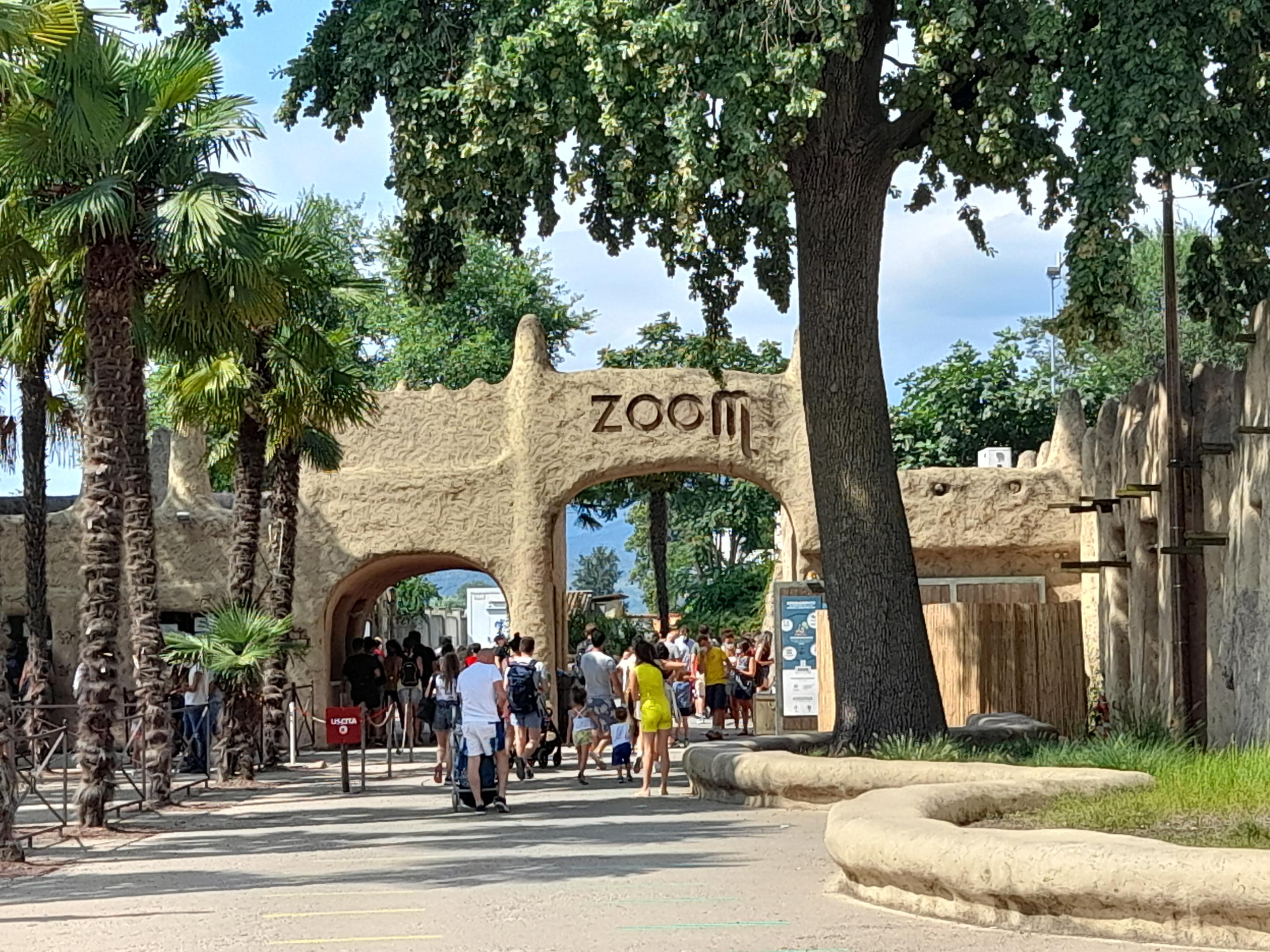 Zoom Torino Overview