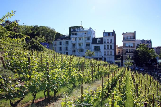 Clos Montmartre, Paris