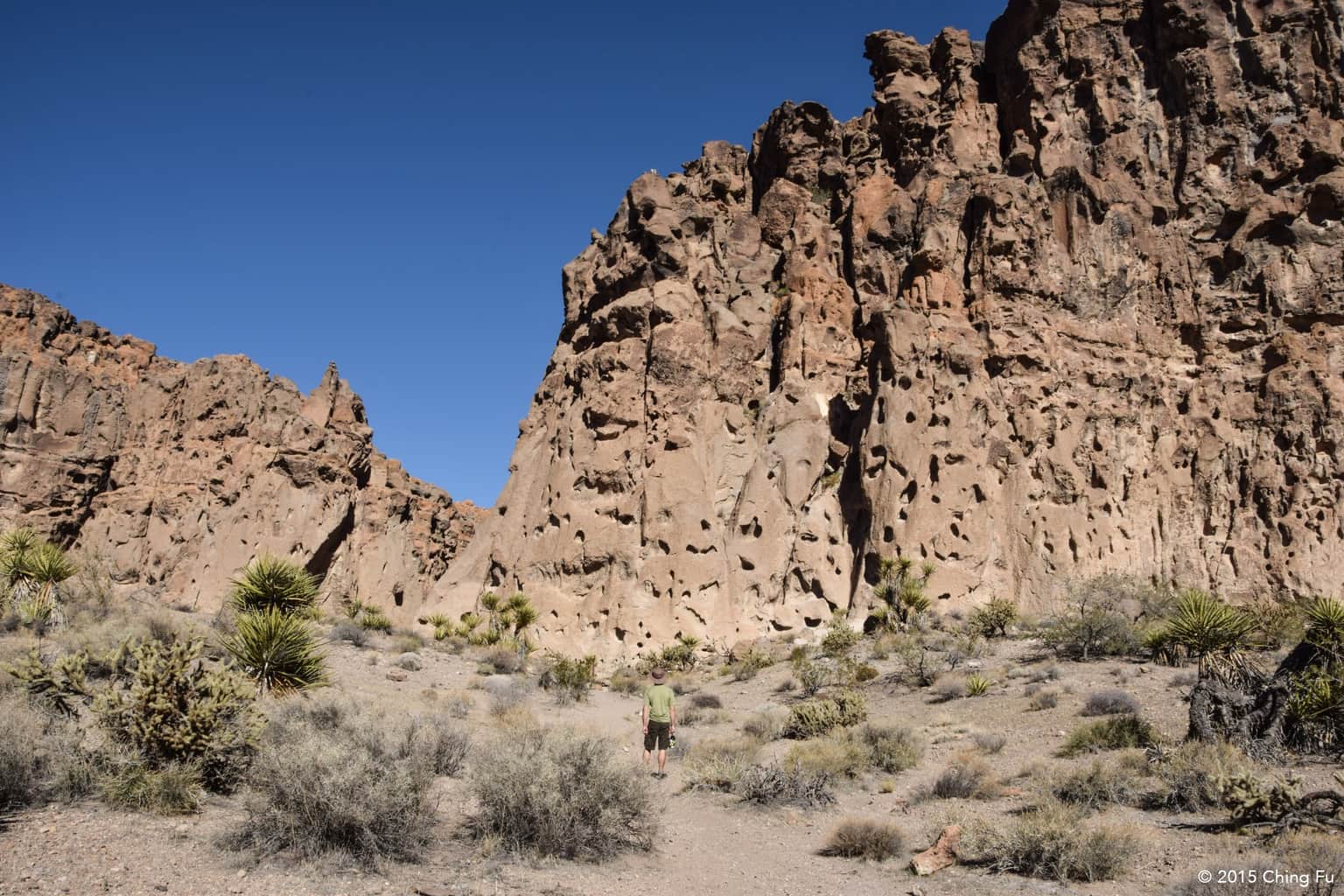Mojave National Preserve, <em>Los Angeles</em>