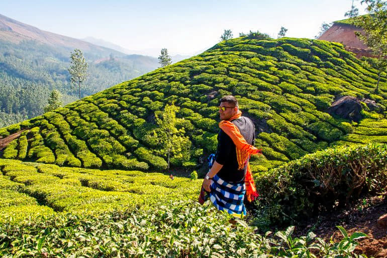 Neelakurinji Trek Image