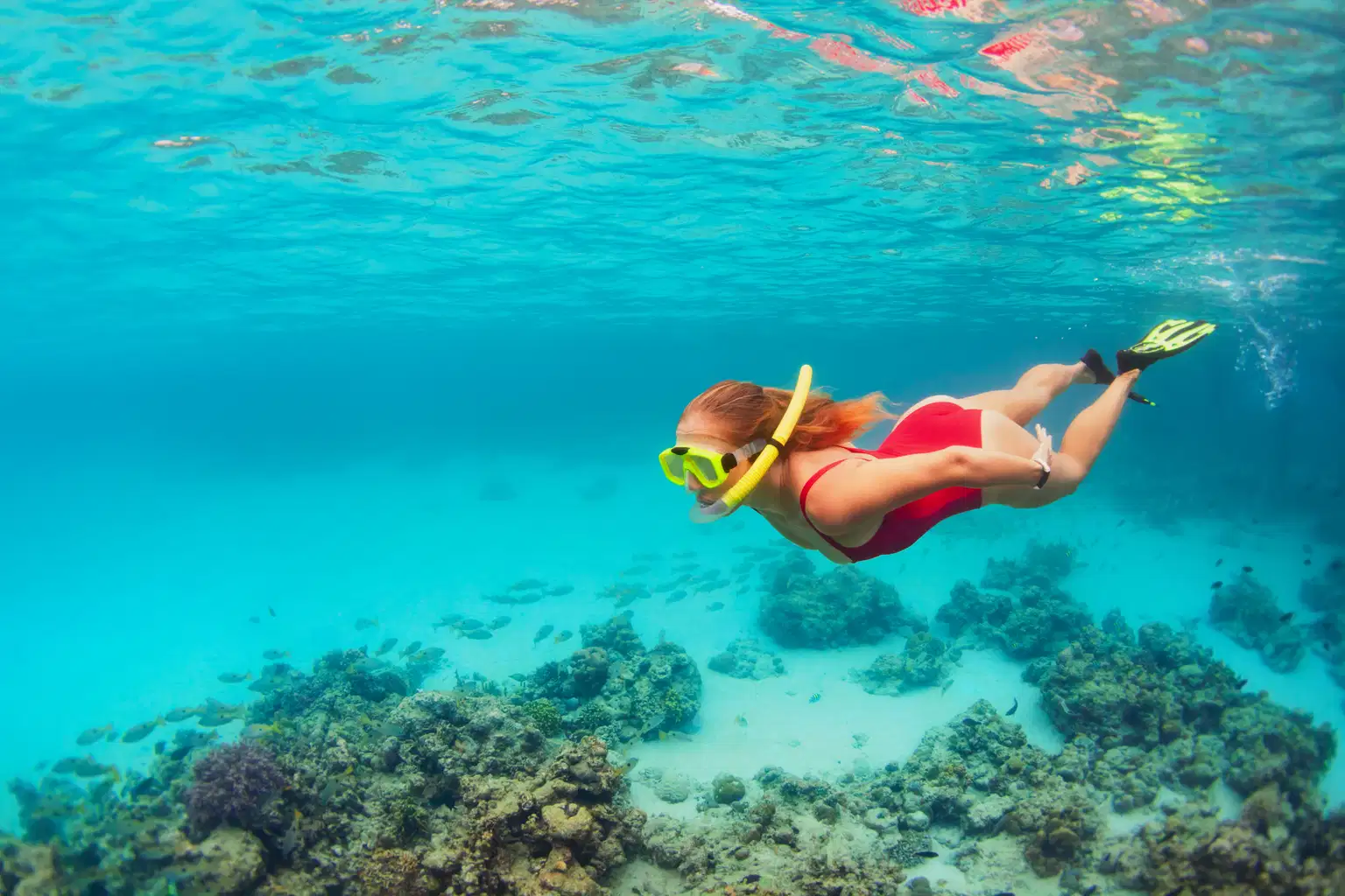 Snorkeling in Neil Island