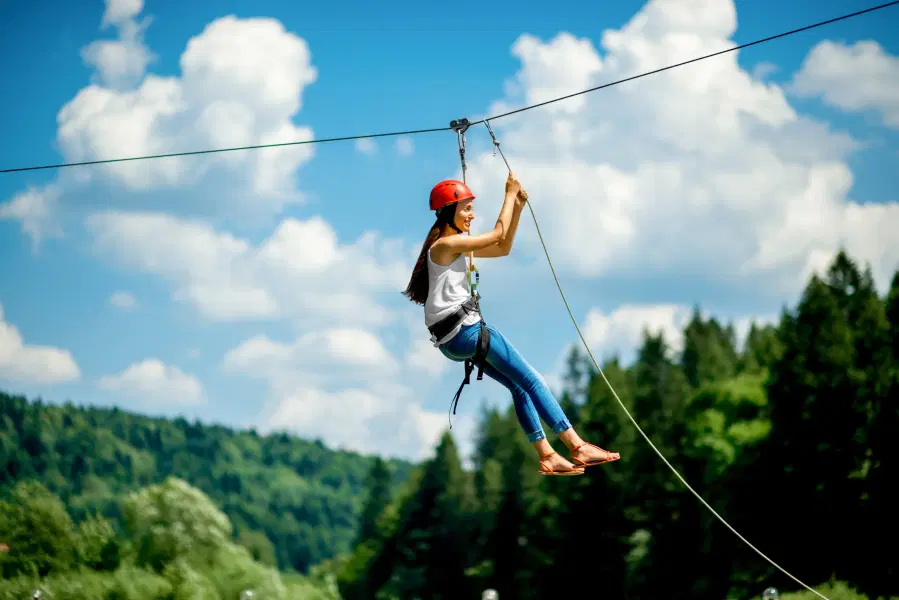 Zipline in Jim Corbett Image