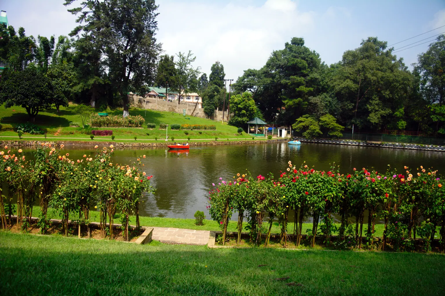 Ward's Lake