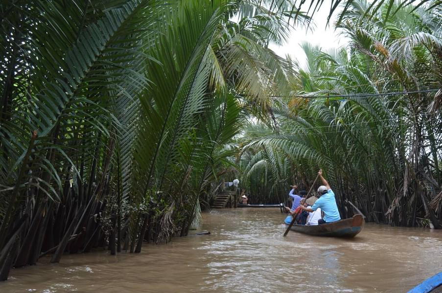 Can Gio Mangrove Tour Image