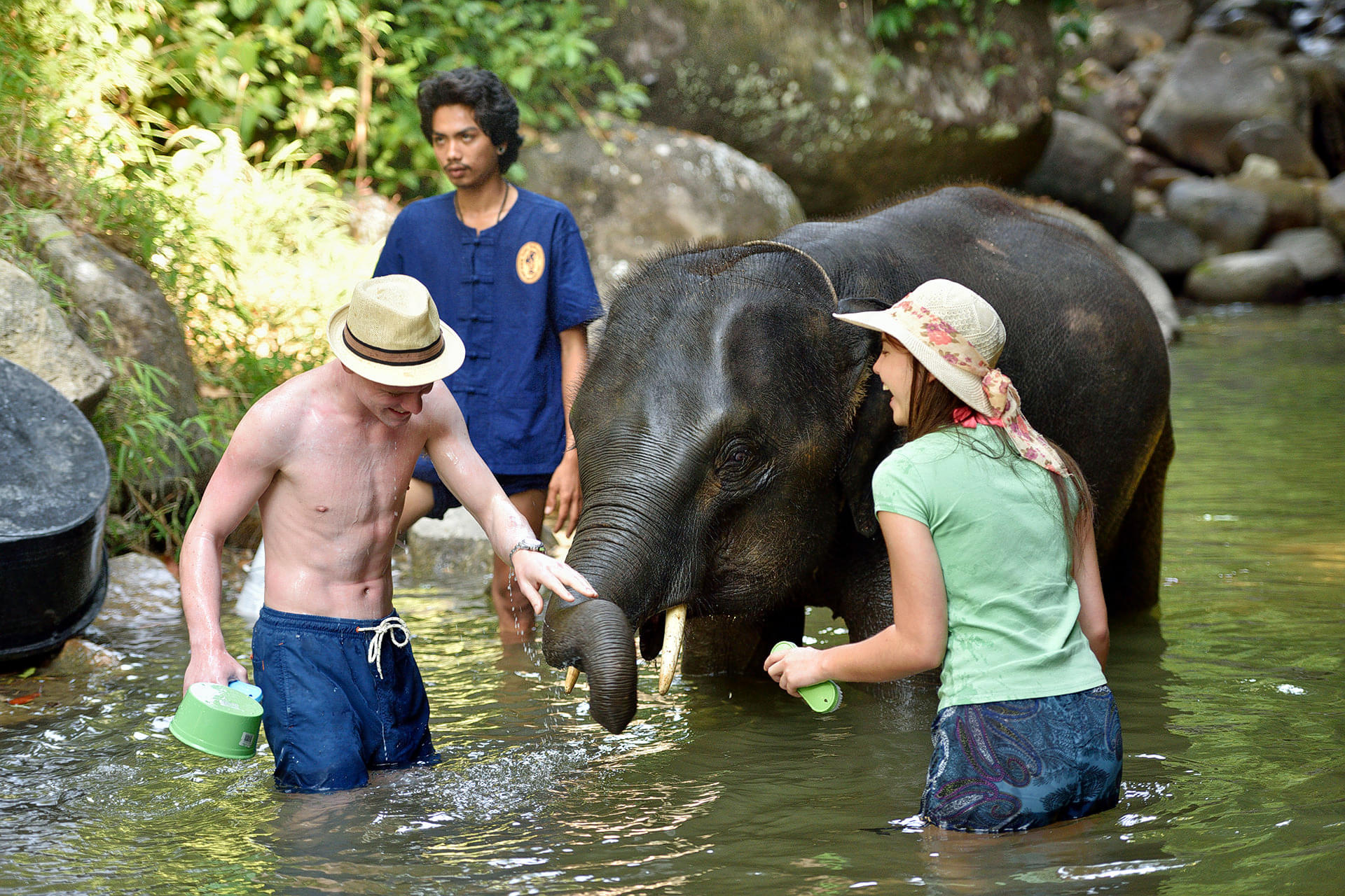 Bathe with the elephants