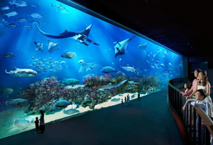 Blue Planet Aquarium