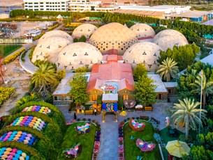 Dubai Butterfly Garden Tickets