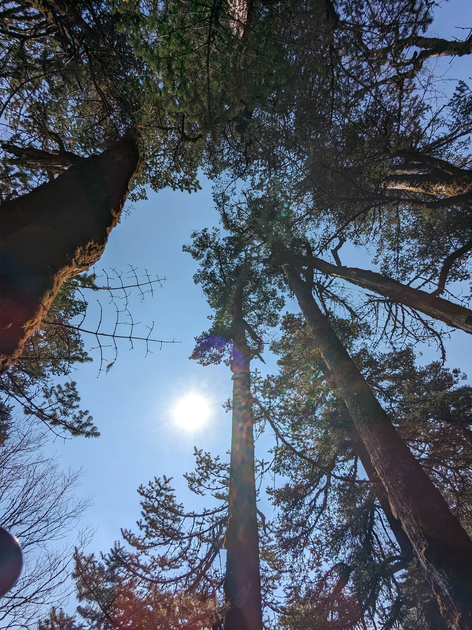 Photo from Soumen  Mondal's trip