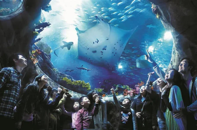 Ocean Park Hong Kong