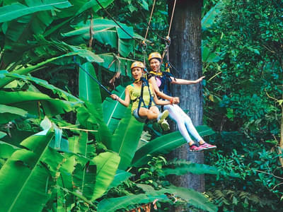 Have an amazing experience with Flying Hanuman Ziplining in Phuket
