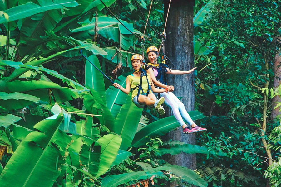 Have an amazing experience with Flying Hanuman Ziplining in Phuket