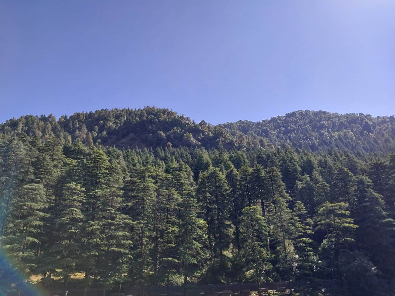 Photo from Zalak Rajendrakumar Doshi .'s trip