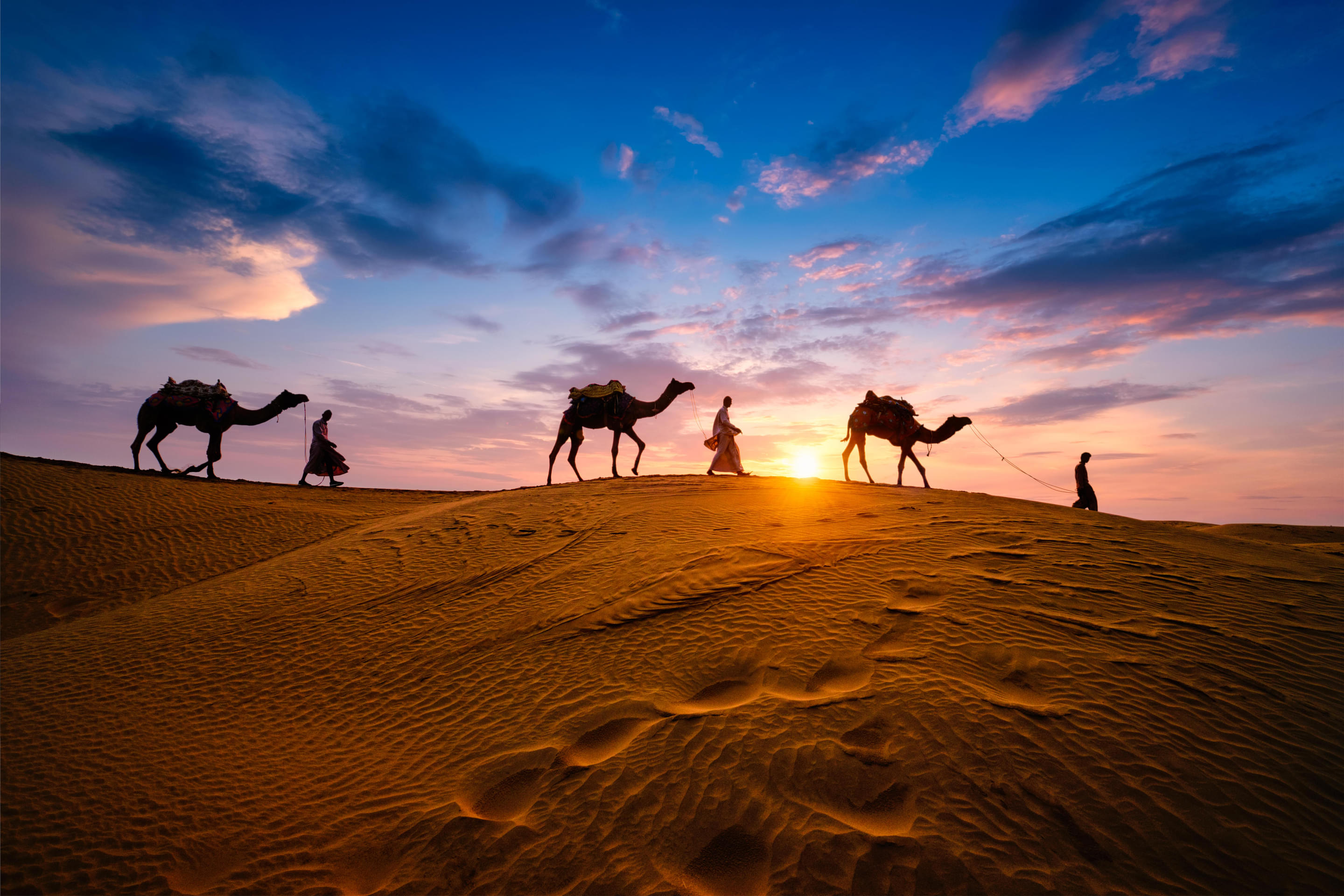 Desert Camel Safari in Jaisalmer