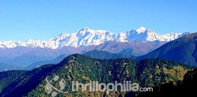 Rhododendron Trek Image